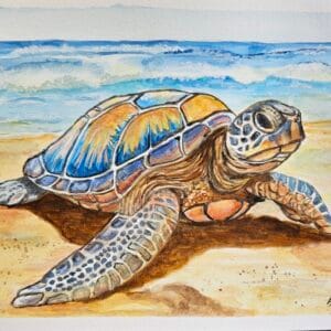 Sea Turtle